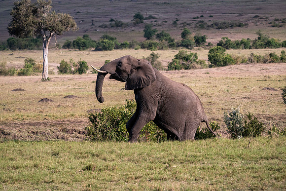 _A959767